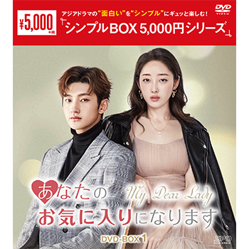 あなたのお気に入りになります DVD-BOX1（4枚組）＜シンプルBOX 5,000円シリーズ＞