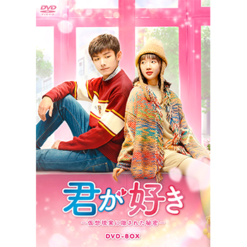 君が好き～仮想現実に隠された秘密～ DVD-BOX