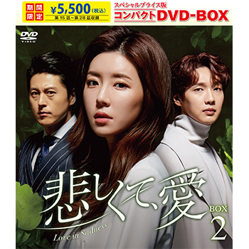 悲しくて、愛 スペシャルプライス版コンパクトDVD-BOX2＜期間限定＞