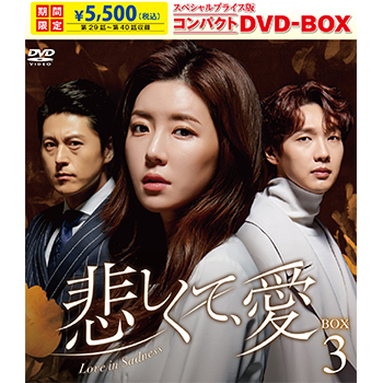 悲しくて、愛 スペシャルプライス版コンパクトDVD-BOX3＜期間限定＞