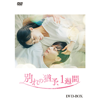 別れの猶予、1週間　DVD-BOX