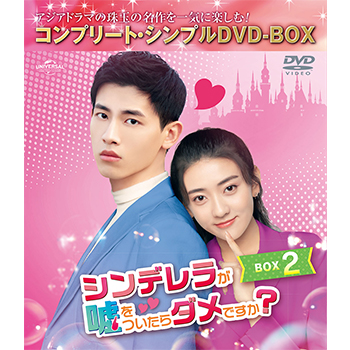 シンデレラが嘘をついたらダメですか？ BOX2 <コンプリート・シンプルDVD‐BOX5,000円シリーズ>【期間限定生産】