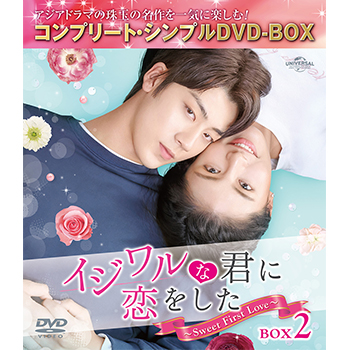 イジワルな君に恋をした～Sweet First Love～ BOX2 <コンプリート・シンプルDVD‐BOX5,000円シリーズ>【期間限定生産】