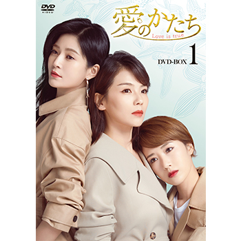 愛のかたち～Love is true～　DVD-BOX1