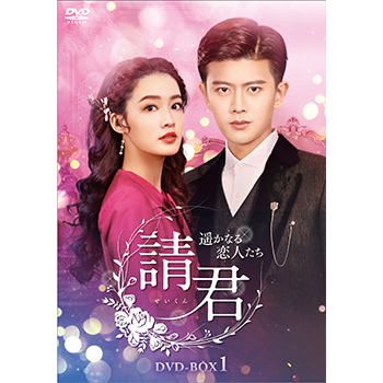 請君（せいくん）～遥かなる恋人たち～　DVD-BOX1