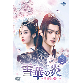 雪華の炎～揺るぎない誓い～ DVD-SET2