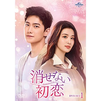 消せない初恋 DVD-SET1