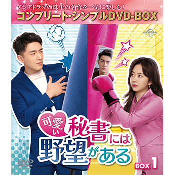 可愛い秘書には野望がある　BOX1　＜コンプリート・シンプルDVD-BOX5,500円シリーズ＞【期間限定生産】