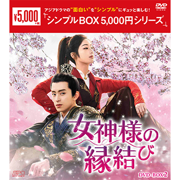 女神様の縁結び DVD-BOX2（6枚組）＜シンプルBOX 5,000円シリーズ＞