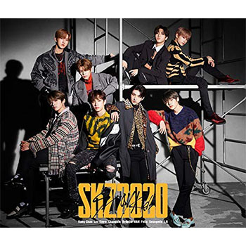 stray kids SKZ2020 初回生産限定盤 シリアル付き Stray Kids「SKZ2020」（初回生産限定盤）【2CD+DVD】