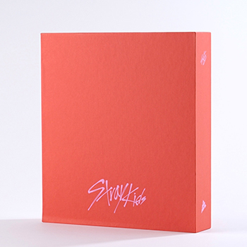 D'FESTA COMPLETE EDITION STRAY KIDS 