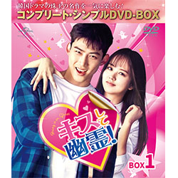 全巻セットDVD▼キスして幽霊! Bring it on Ghost(13枚セット)第1話～第23話 最終【字幕】▽レンタル落ち 韓国