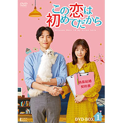 この恋は初めてだから ～Because This is My First Life　DVD-BOX1
