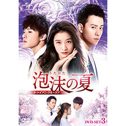 泡沫の夏～トライアングル・ラブ～　DVD-SET3