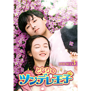 となりのツンデレ王子　DVD-SET3