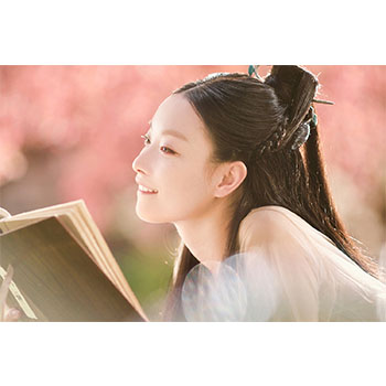 運命の桃花～宸汐縁～　DVD-BOX