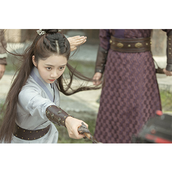 花様衛士～ロイヤル・ミッション～ DVD-SET1