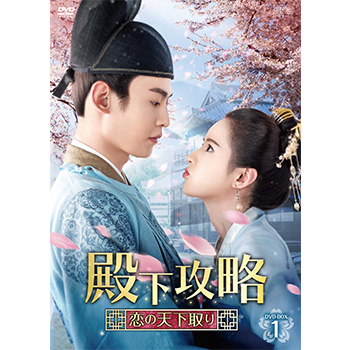 殿下攻略～恋の天下取り～　DVD-BOX1（8枚組）
