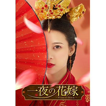 一夜の花嫁～Pirates of Destiny～ DVD-BOX1