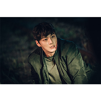 トレイン DVD-BOX1（7枚組）＜シンプルBOX 5,000円シリーズ＞