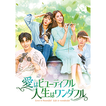 愛はビューティフル人生はワンダフル　DVD 全話 愛はビューティフル、人生はワンダフル DVD-BOX1