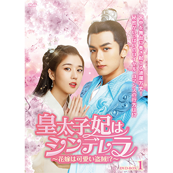皇太子妃はシンデレラ～花嫁は可愛い盗賊！？～ DVD-BOX1