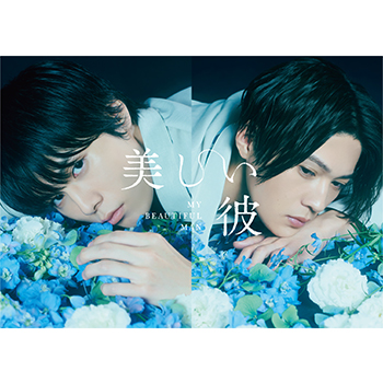 美しい彼　DVD-BOX