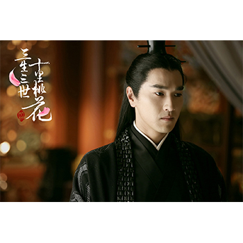 永遠の桃花 三生三世 Dvd Box1 10枚組 シンプルbox 5 000円シリーズ