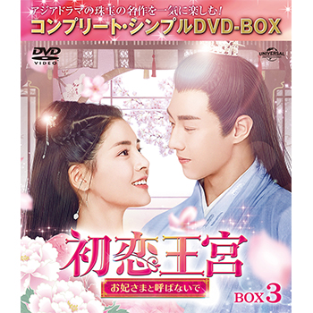 初恋王宮～お妃さまと呼ばないで～　BOX3　＜コンプリート・シンプルDVD-BOX5,000円シリーズ＞【期間限定生産】