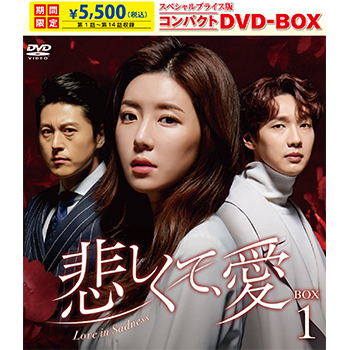 悲しくて、愛 スペシャルプライス版コンパクトDVD-BOX1＜期間限定＞