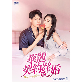 華麗なる契約結婚　DVD-BOX1