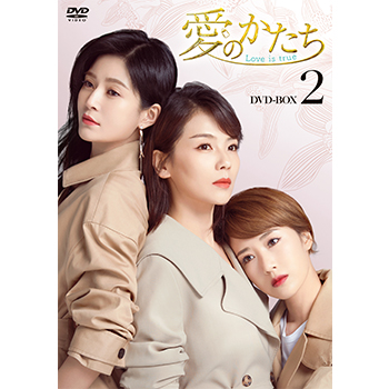 愛のかたち～Love is true～　DVD-BOX2