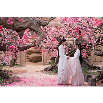 千紫万華（せんしばんか）～重紫（ちょうし）に捧ぐ不滅の愛～ BOX1  