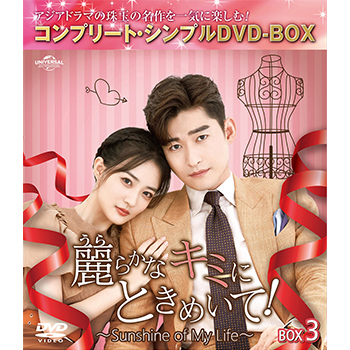 シンデレラ・プロセス～私を輝かせる恋と夢～ BOX3 <コンプリート・シンプルDVD‐BOX5,500円シリーズ>【期間限定生産】