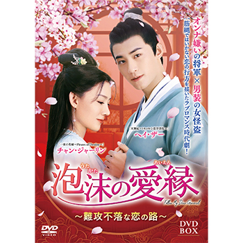 泡沫の愛縁 DVD-BOX