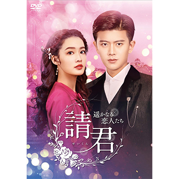 請君（せいくん）～遥かなる恋人たち～　DVD-BOX3
