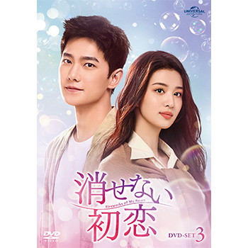消せない初恋 DVD-SET3