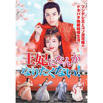 王妃になんかなりたくない！ DVD