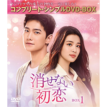 消せない初恋　BOX1　＜コンプリート・シンプルDVD-BOX5,500円シリーズ＞【期間限定生産】