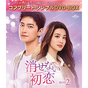消せない初恋　BOX2　＜コンプリート・シンプルDVD-BOX5,500円シリーズ＞【期間限定生産】
