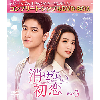消せない初恋　BOX3　＜コンプリート・シンプルDVD-BOX5,500円シリーズ＞【期間限定生産】