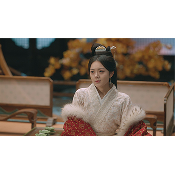 度華年 The Princess Royal