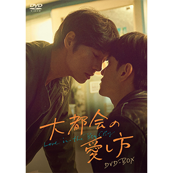 大都会の愛し方 ~Love in the Big City~ DVD-BOX