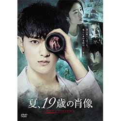 夏、19歳の肖像