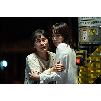 殺人鬼から逃げる夜　DVD