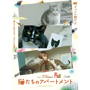 猫たちのアパートメント　DVD
