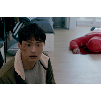 見知らぬ隣人　DVD