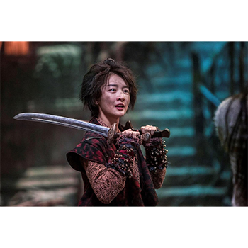 カンフー・モンスター　DVD