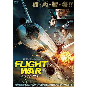 フライト・ウォー DVD