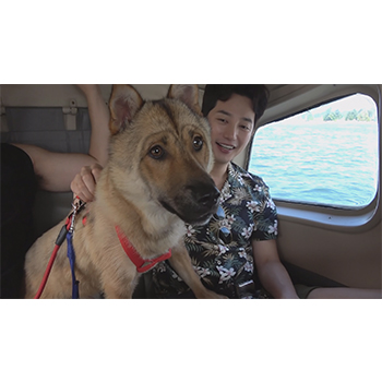 パク・シフ＆ヒチョルの旅するわんこ DVD-BOX